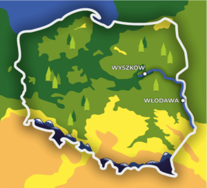 Przepłyń Bug